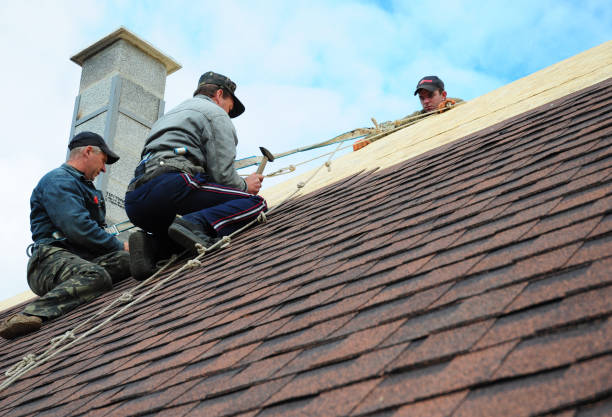 Best Metal Roofing Contractor  in Las Vegas, NM