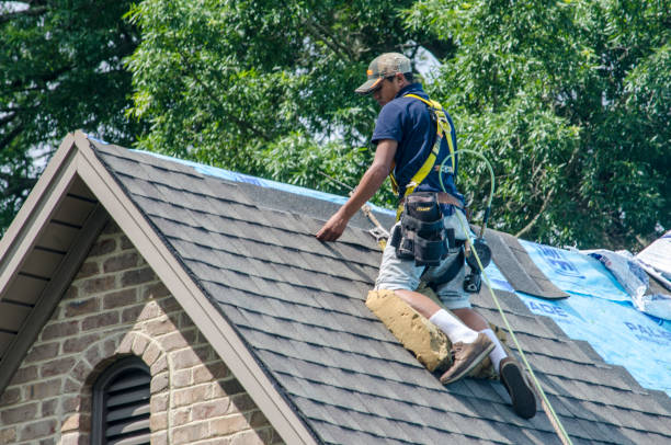 Professional Roofing Contractor in Las Vegas, NM